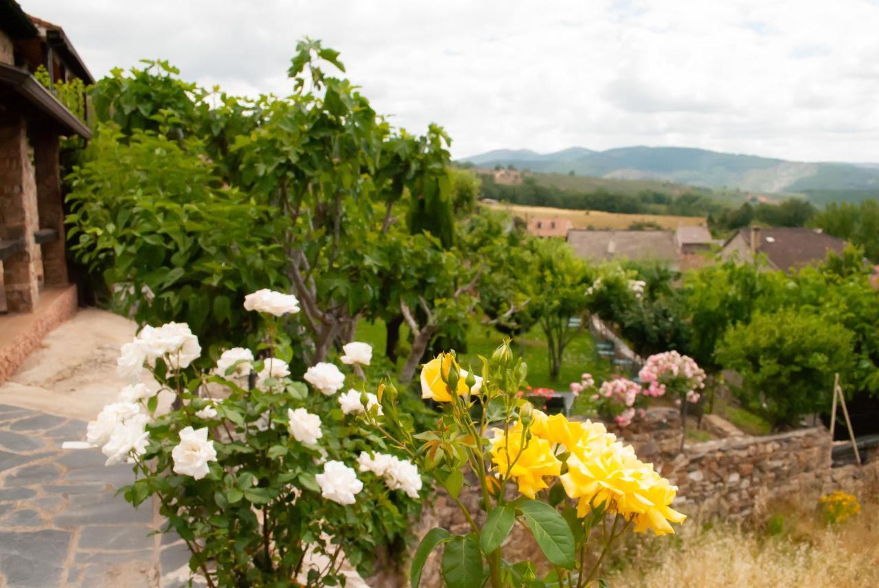 Casa Rural Y Spa El Huerto Del Abuelo Affittacamere Almiruete Esterno foto