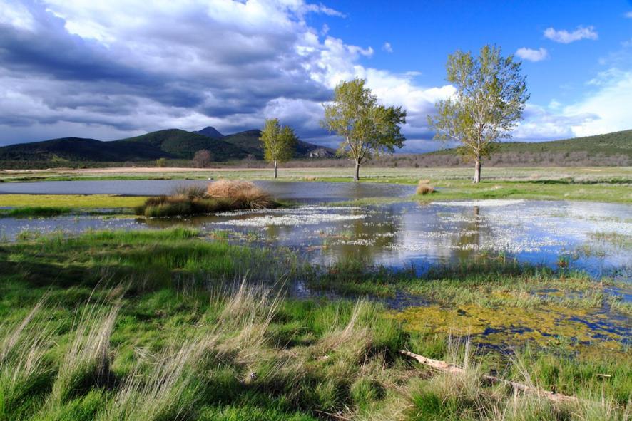 Casa Rural Y Spa El Huerto Del Abuelo Affittacamere Almiruete Esterno foto